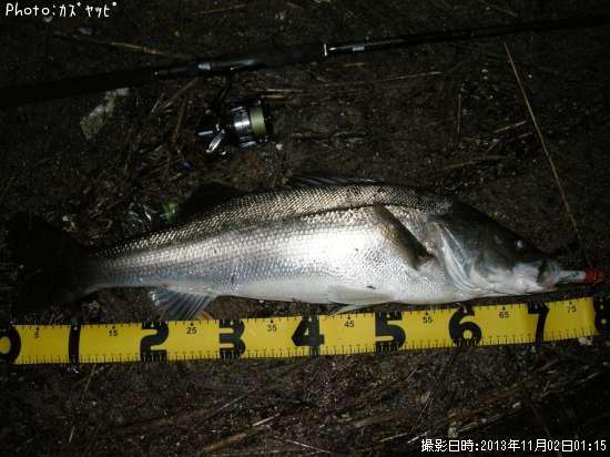 �����Х�