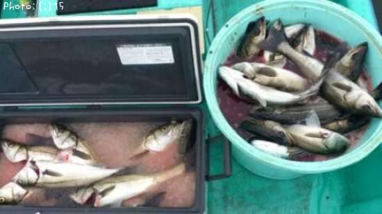 �����Ф��ȥ��ʥ�