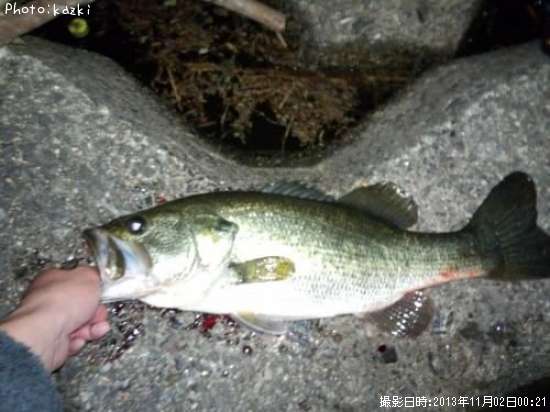 �֥�å��Х�