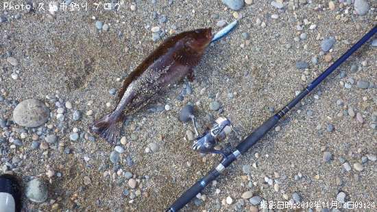 �����ʥ�