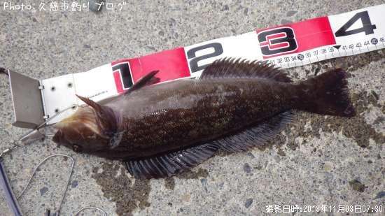 �����ʥ�