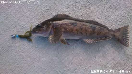 �����ʥ�