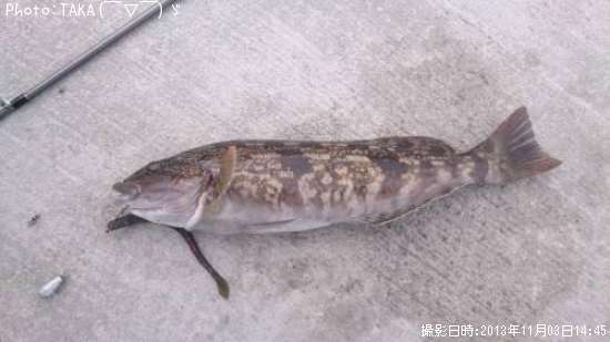 �����ʥ�