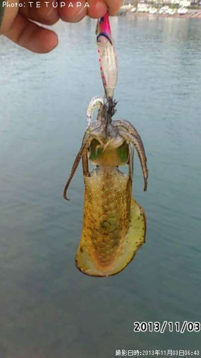 �����ꥤ��