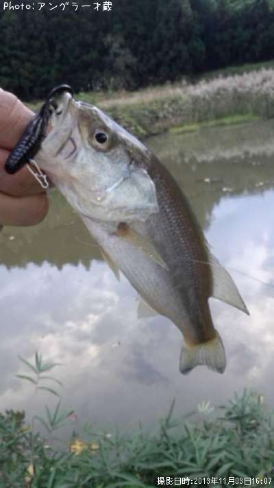 �֥�å��Х�