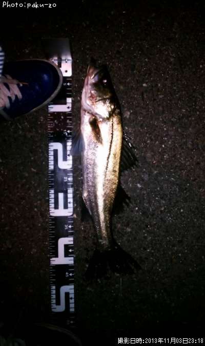 �����Х�