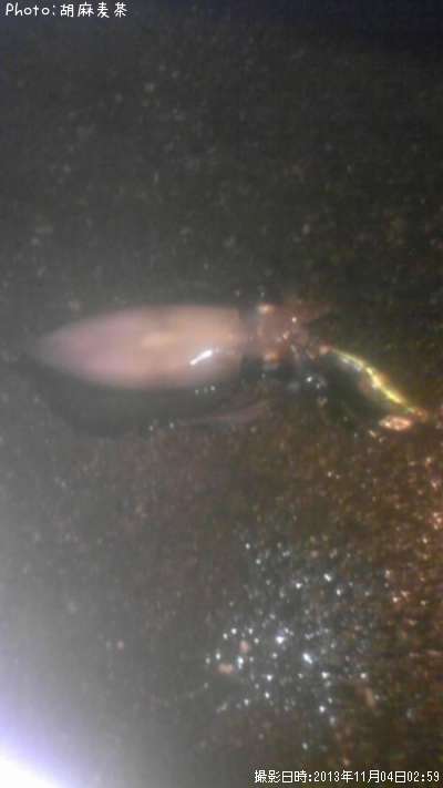 �����ꥤ��