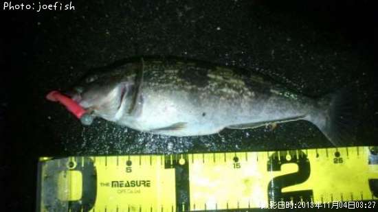 �����ʥ�