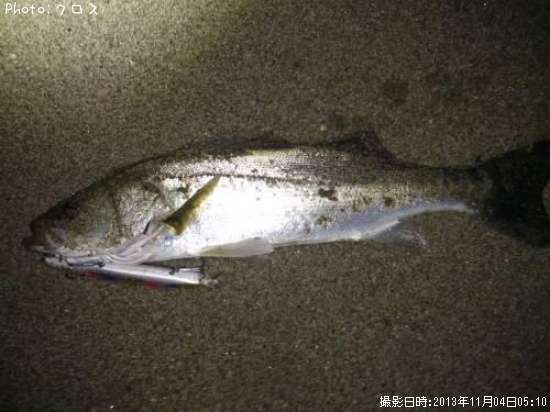 �����Х�