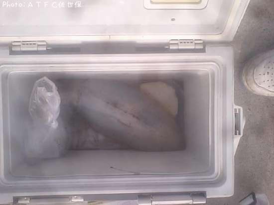 �����ꥤ��