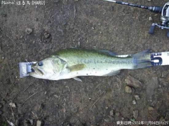 �֥�å��Х�