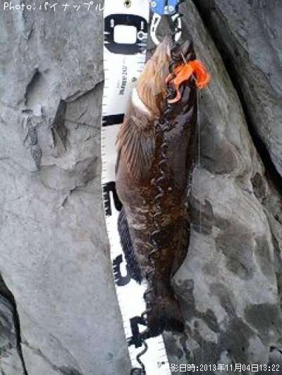 �����ʥ�