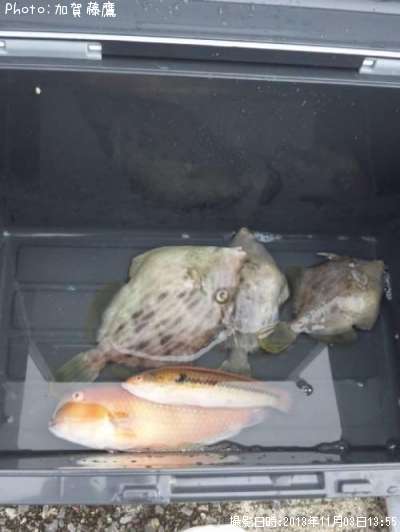 ����ϥ������ޥ������٥顩