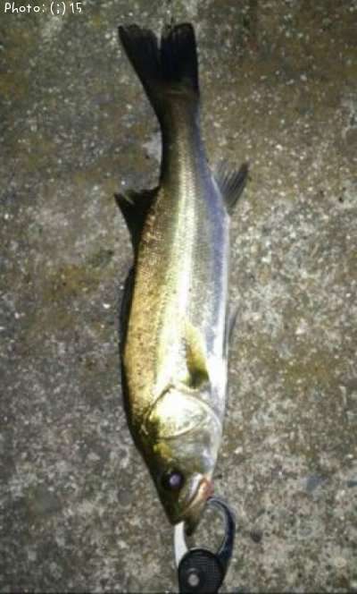 �����Ф�