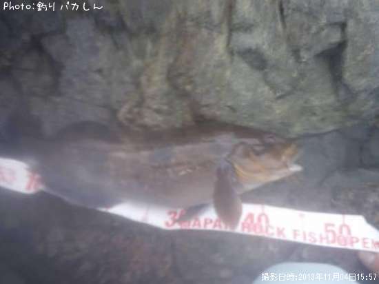 �����ʥ�