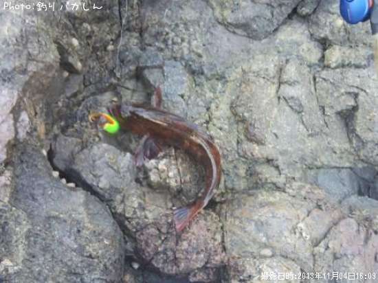 �����ʥ�