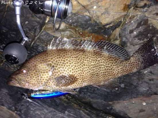 �������ϥ�