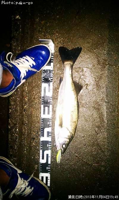 �����Х�