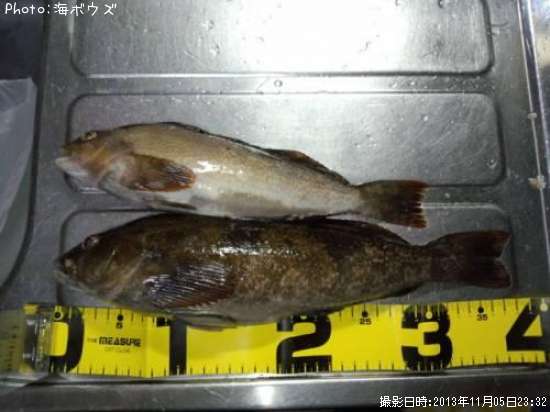 �����ʥ�