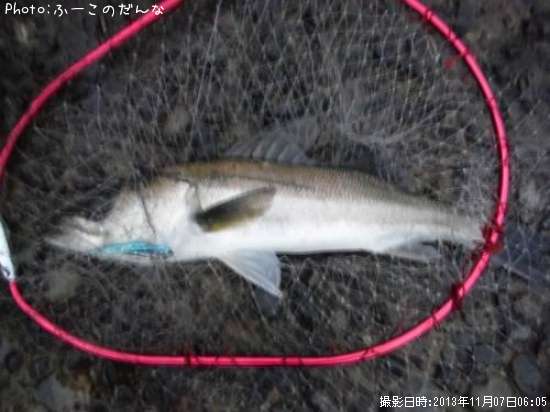 �����Х�