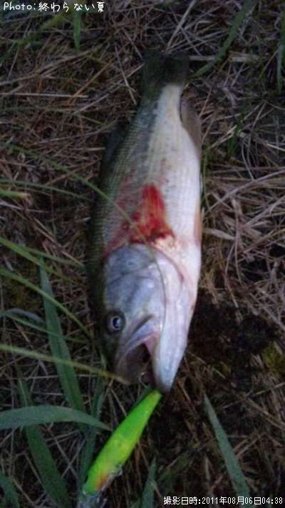 �֥�å��Х�