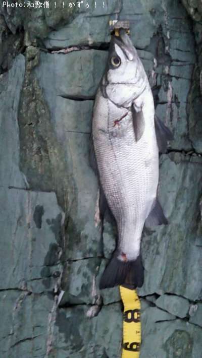 �ҥ饹����