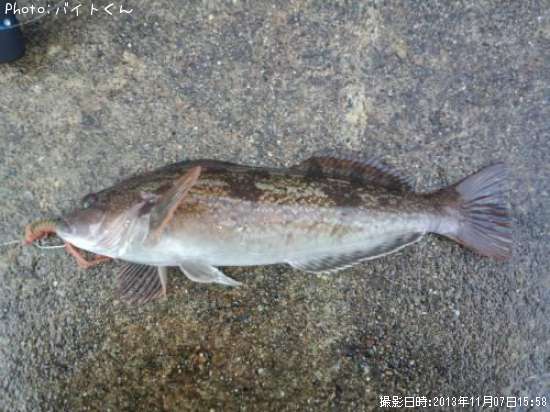 �����ʥ�