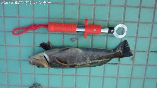 �����ʥ�