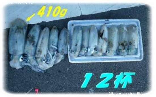 �����ꥤ��