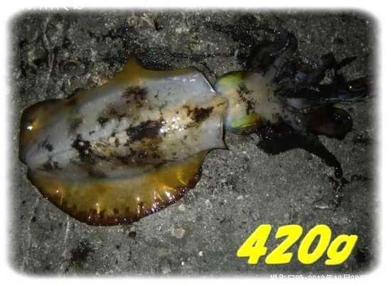 �����ꥤ��