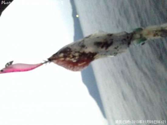 �����ꥤ��