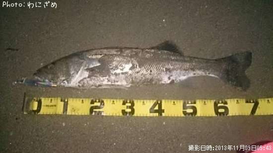 �����Х�