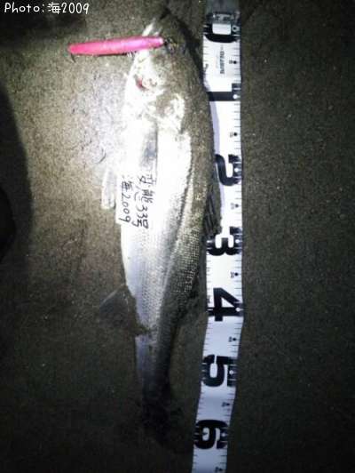 �����Х�