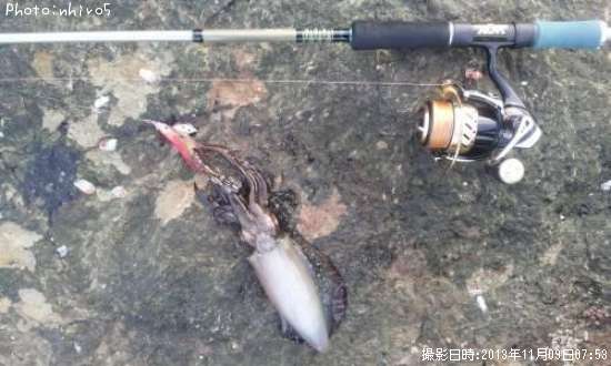 �����ꥤ��