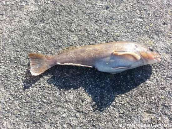 �����ʥ�