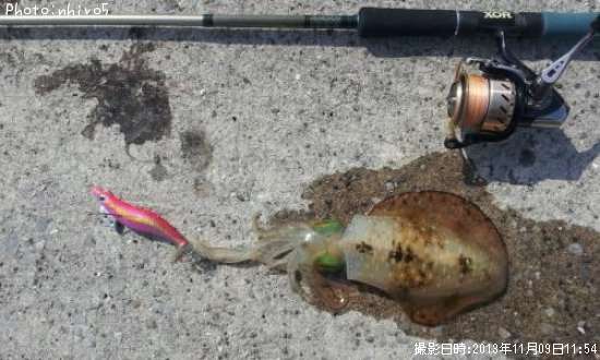 �����ꥤ��