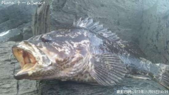 �����Υ���Х�