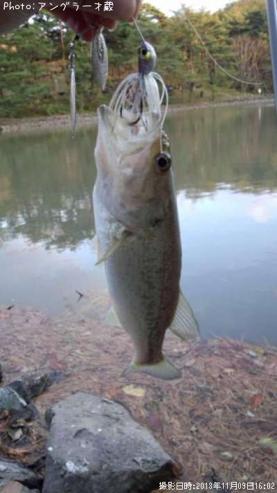 �֥�å��Х�