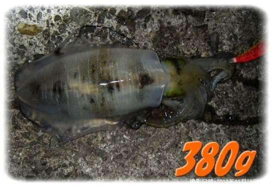 �����ꥤ��