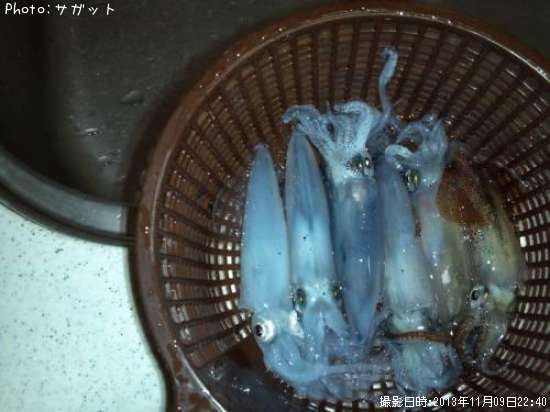 �ƥ��Ӥ���