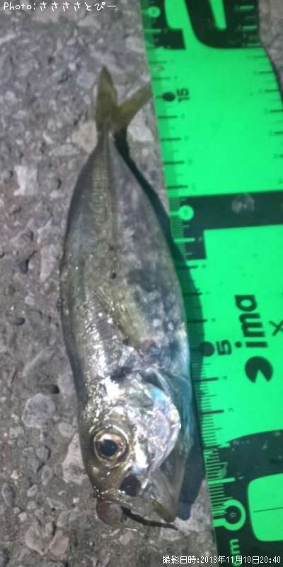 ������Х�