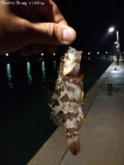 �����Υ���Х�