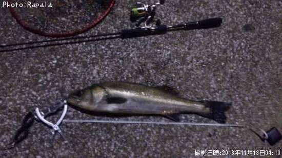 �����Х�