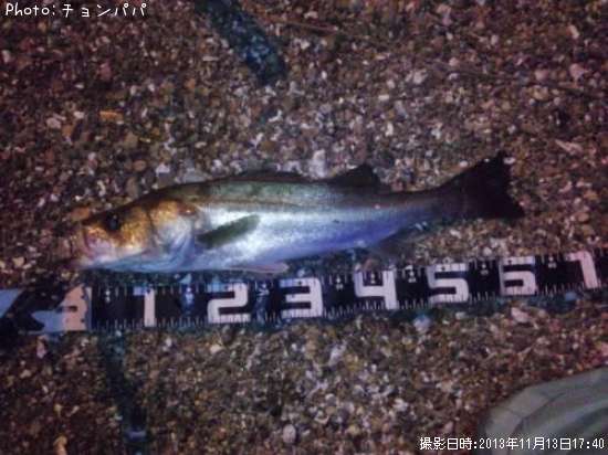 �����Х�