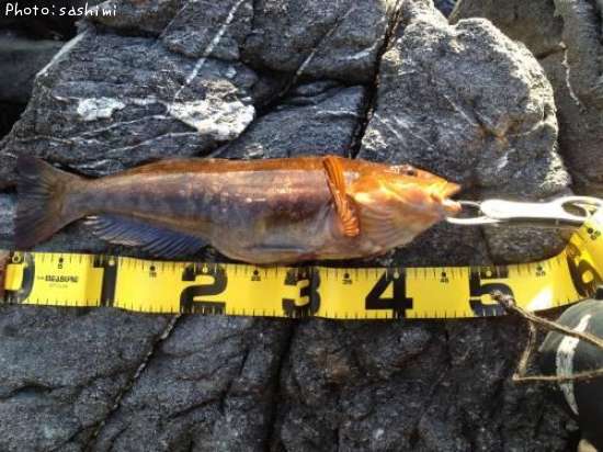 �����ʥ�