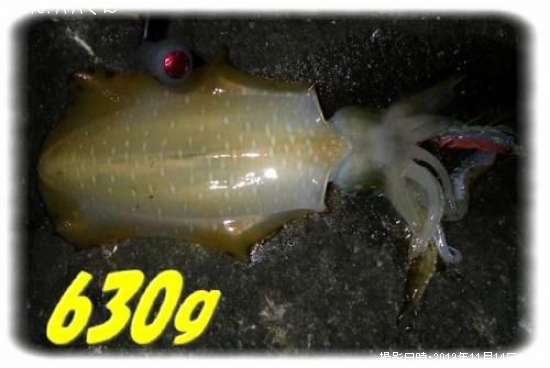 �����ꥤ��