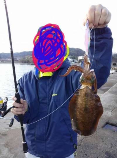 �����ꥤ��