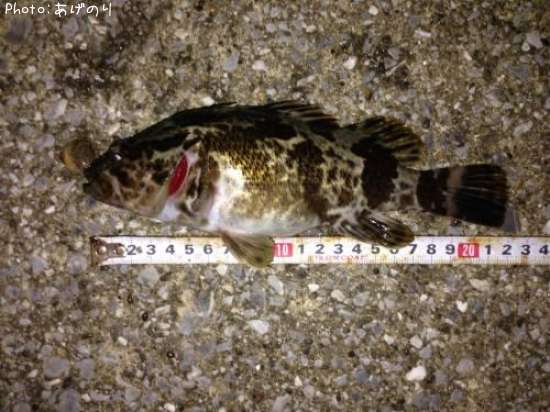 �����Υ���Х�