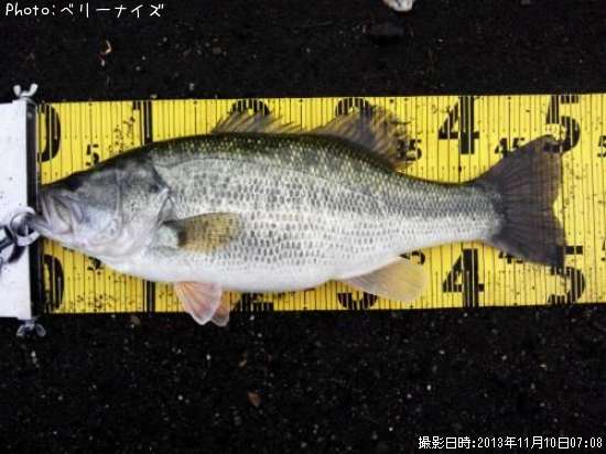 �֥�å��Х�