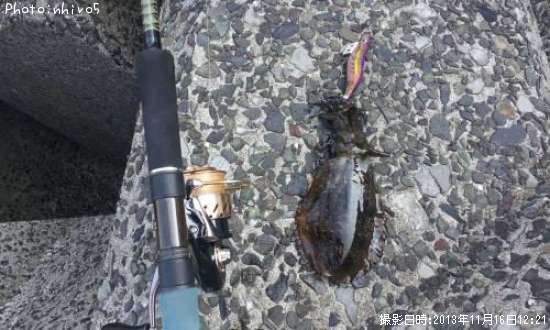 �����ꥤ��